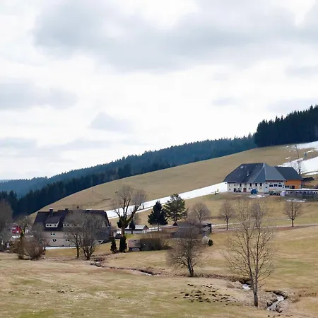 Ferienhaus Kaltenbach Титизее-Нойштадт Экстерьер фото