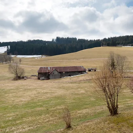 Ferienhaus Kaltenbach Титизее-Нойштадт Экстерьер фото