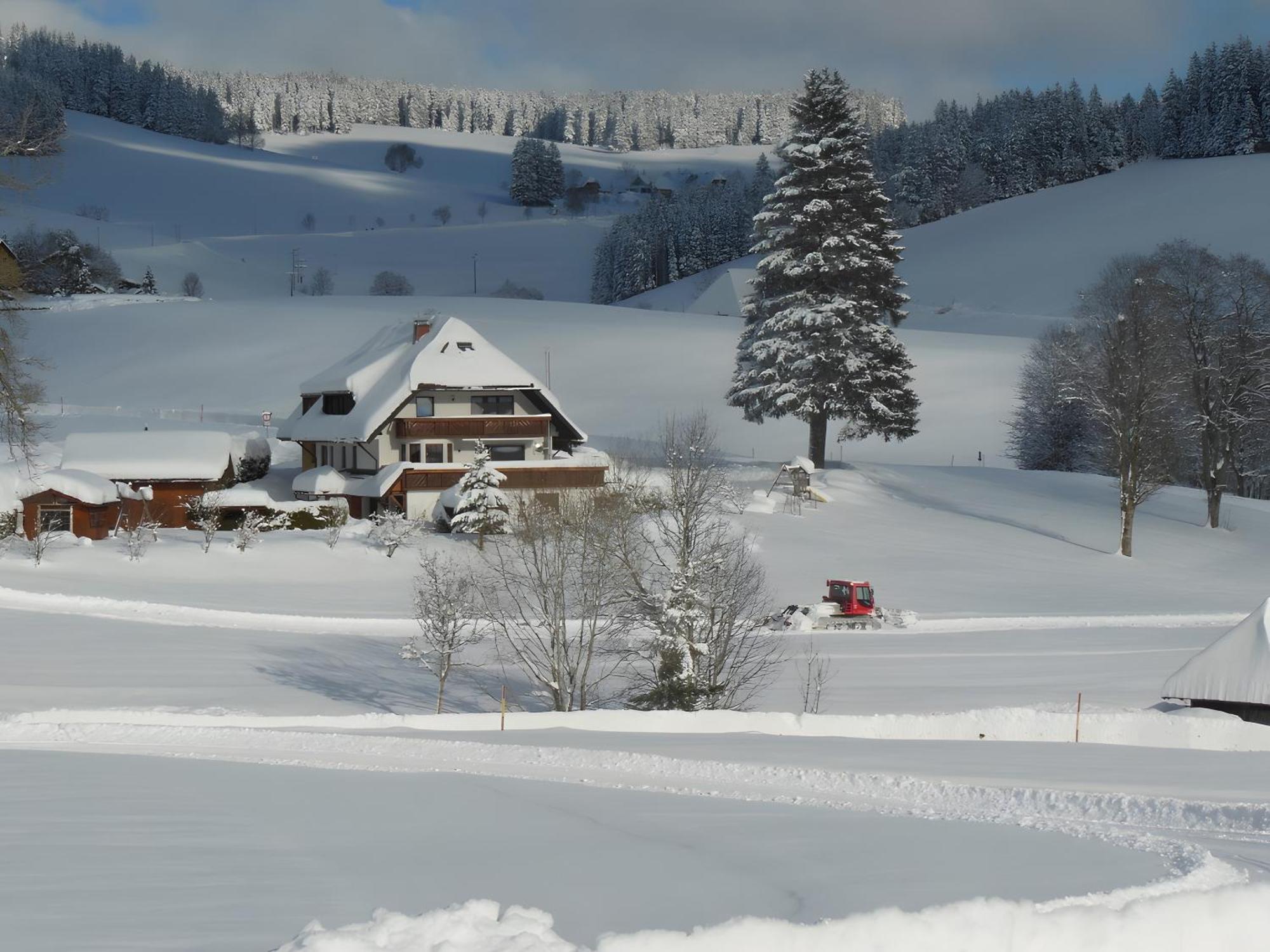Kaltenbach Apartment *