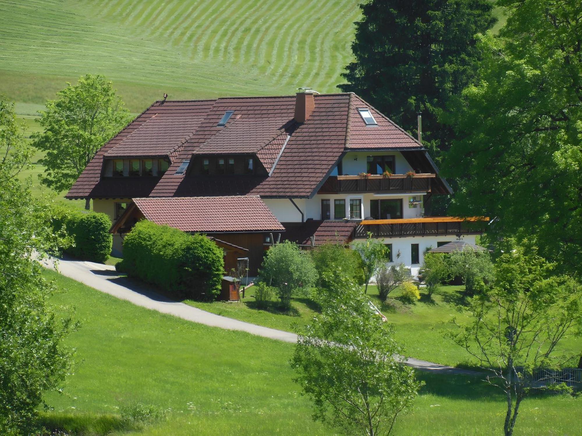 Apartment Kaltenbach Titisee-Neustadt