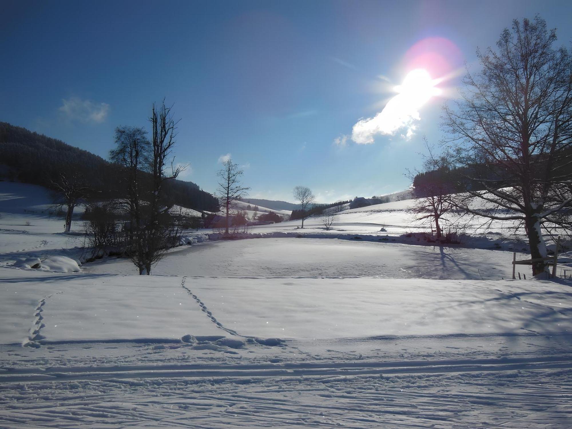 Kaltenbach * Titisee-Neustadt