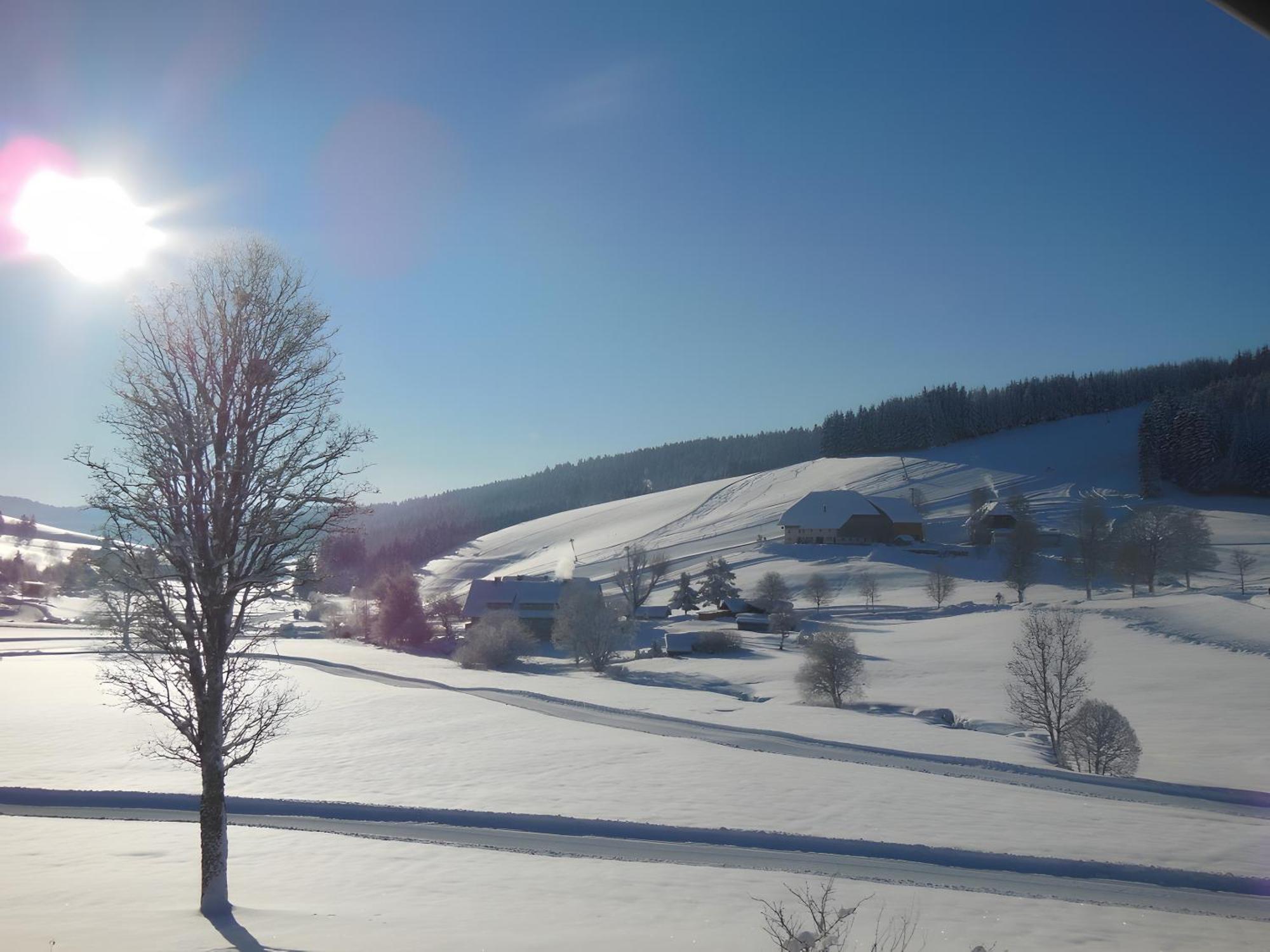 Kaltenbach Titisee-Neustadt