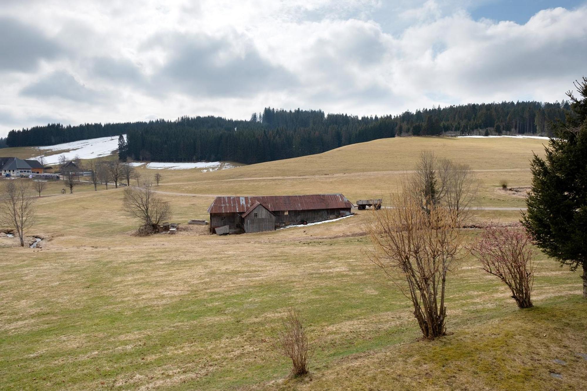 Kaltenbach Apartment *