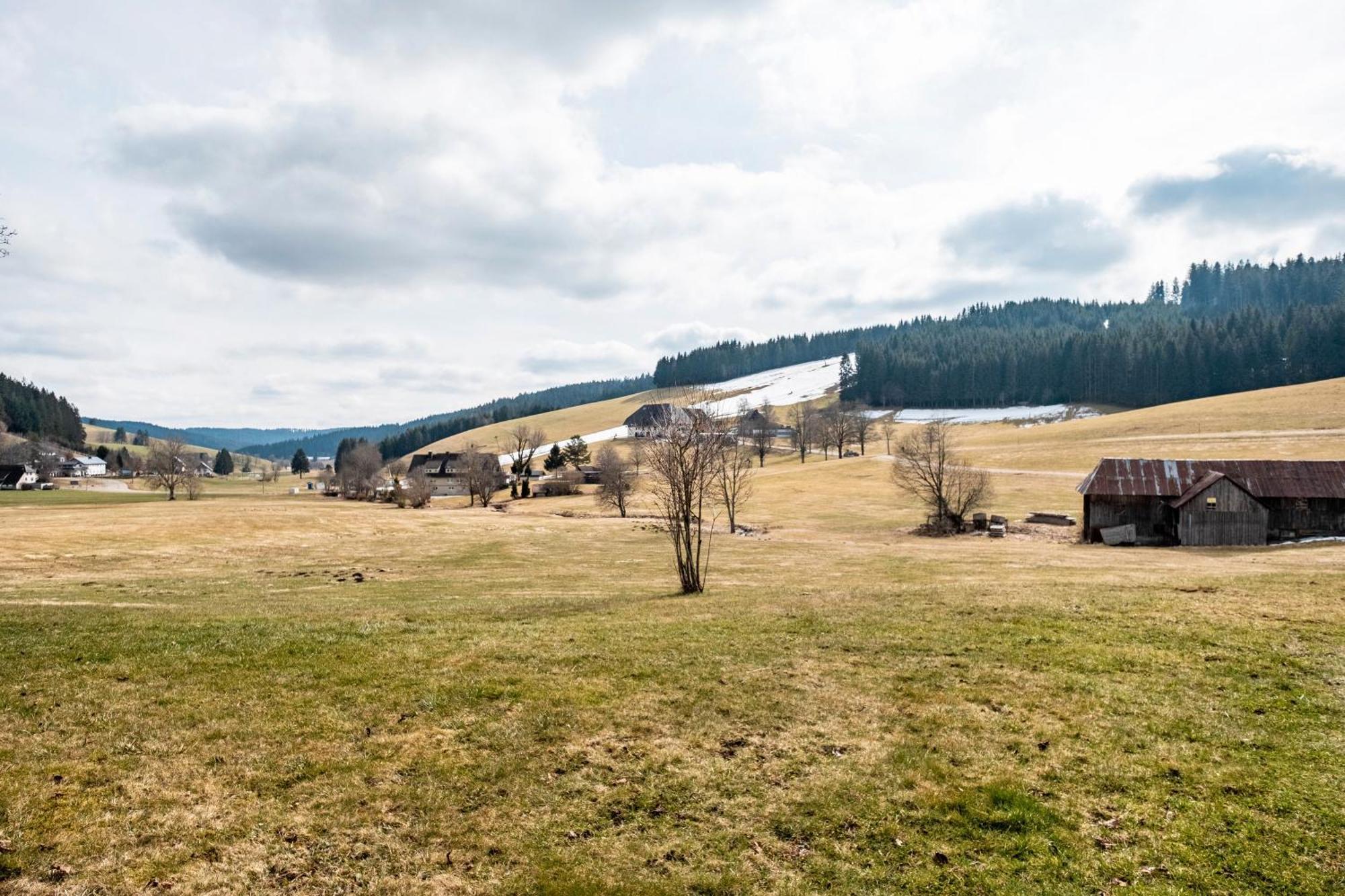 Kaltenbach Titisee-Neustadt